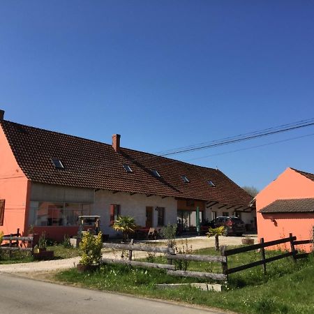 Gite Chez Marcel Et Bea La Chapelle-Saint-Sauveur  외부 사진